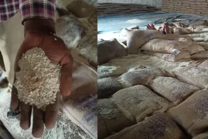 सुल्तानपुर: FCI के गोदाम में सड़ा चावल देख चालक ने डिलीवरी से किया मना, सोशल मीडिया पर वायरल होते ही जिम्मेदारों में हडकंप 